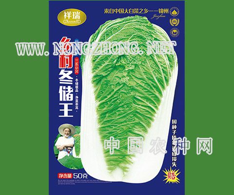 乡村冬储王